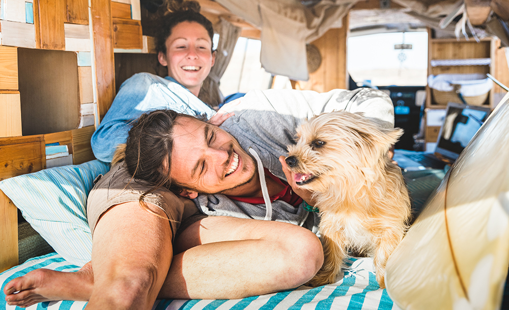 RV amenities for pets