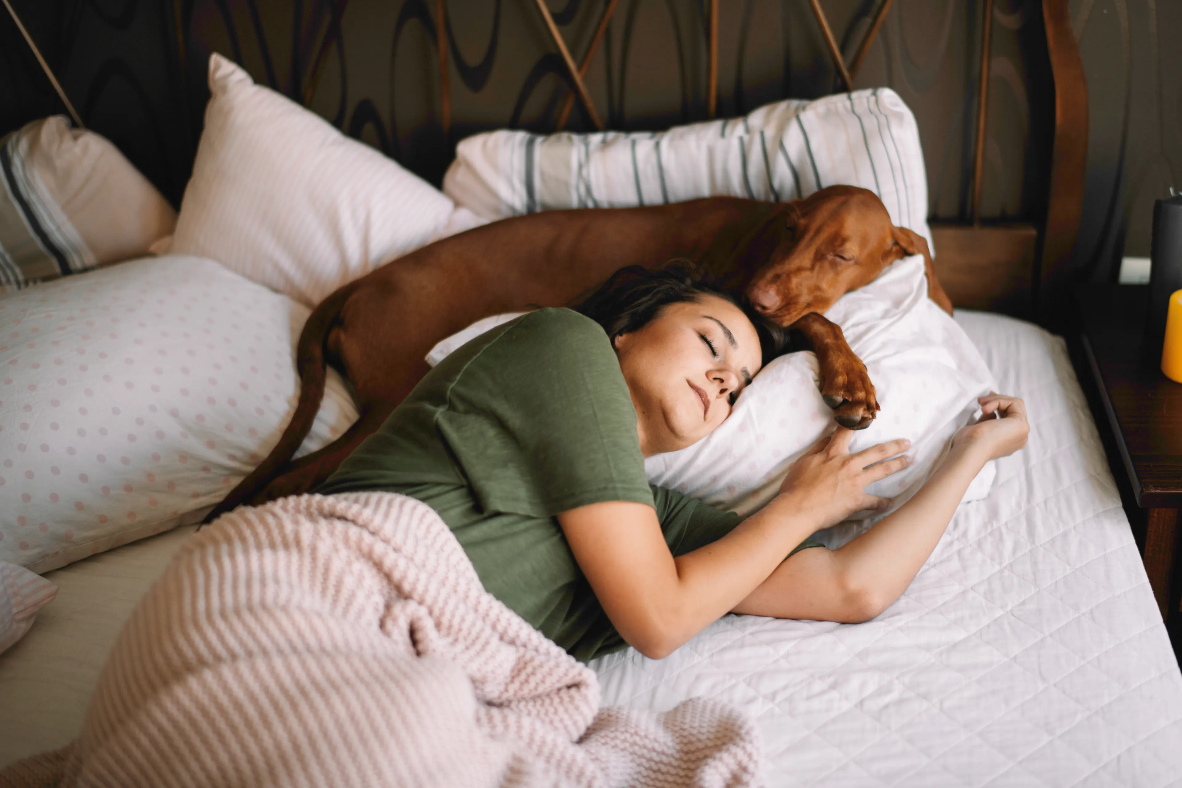 woman and dog laying together in bed