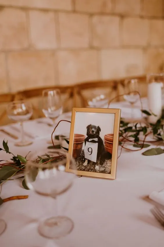 table markers for wedding as photo of dog