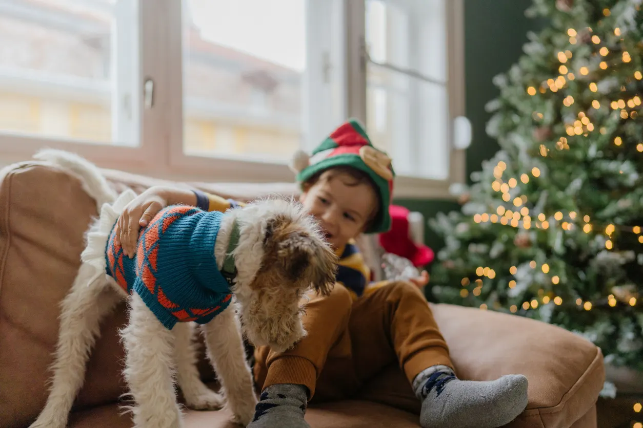 Boy and dog sit on couch cuddling during holidays