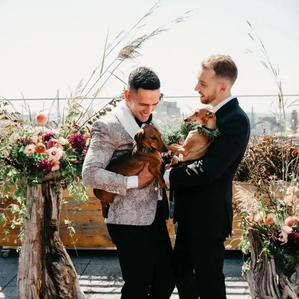 Married Couple posing in aisle outdoors with two dogs
