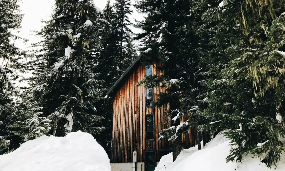 The Coolest PetFriendly Airbnbs in Connecticut