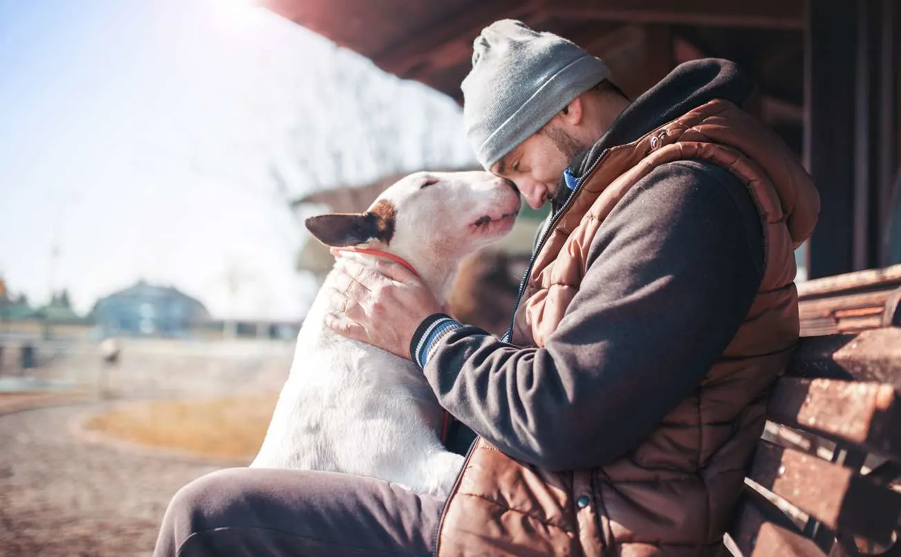 Man hugging his bull terrier