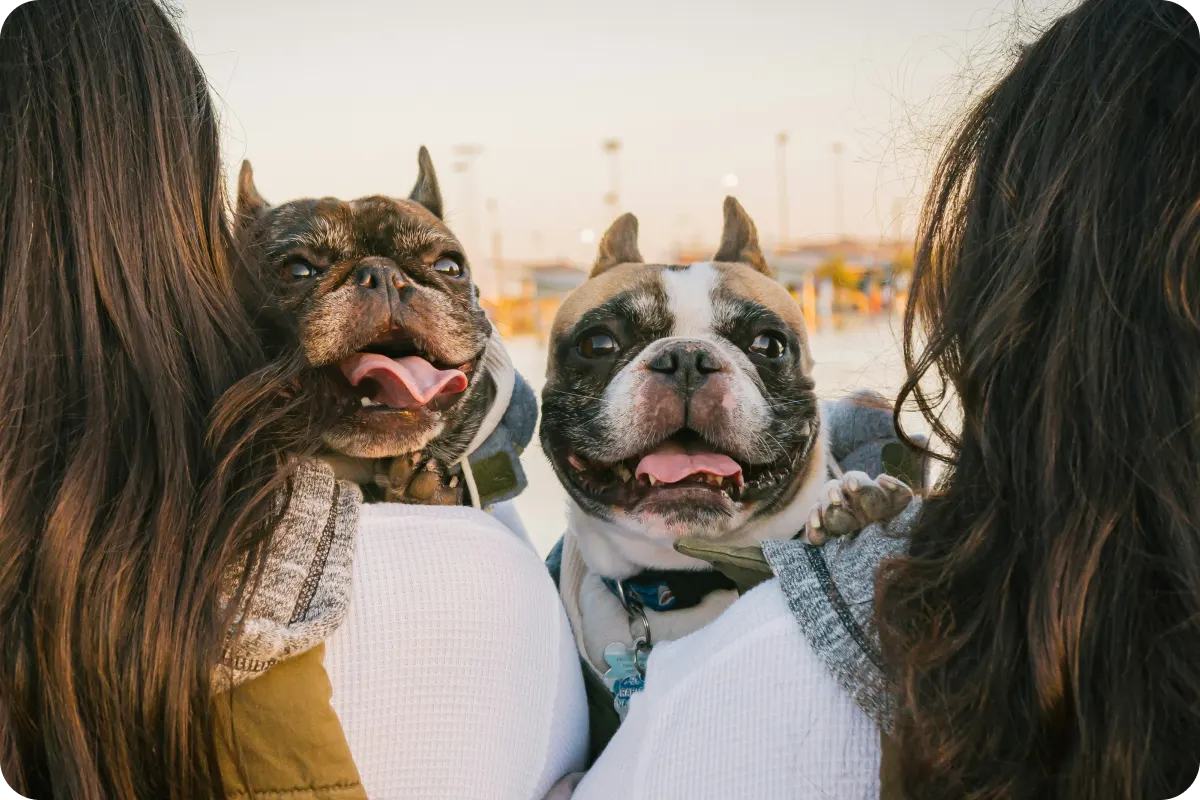 two women holding french bulldogs