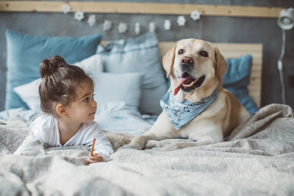 Choosing the perfect family dog