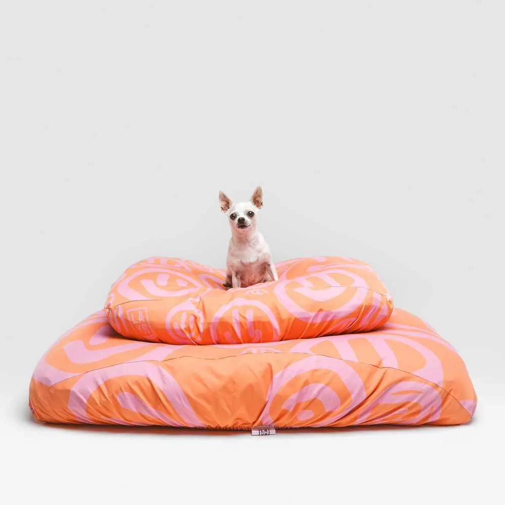 small dog sitting on two colorful dog beds