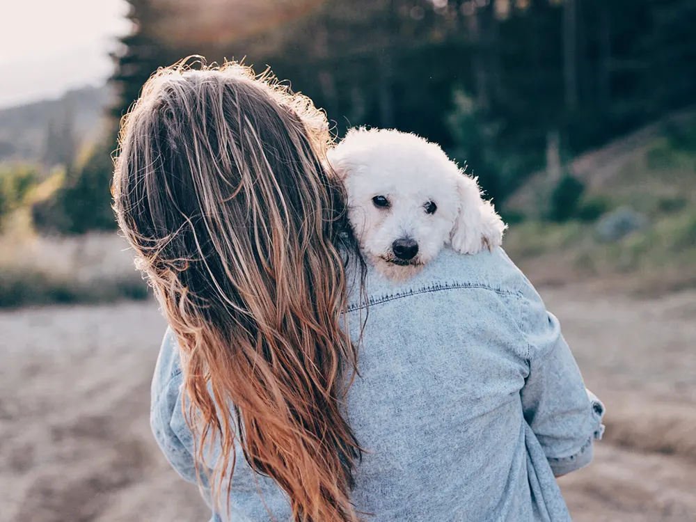 4 reasons humans need dogs in their lives
