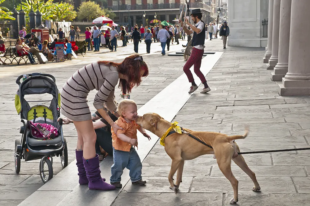 Child petting a dog in the french quarter
