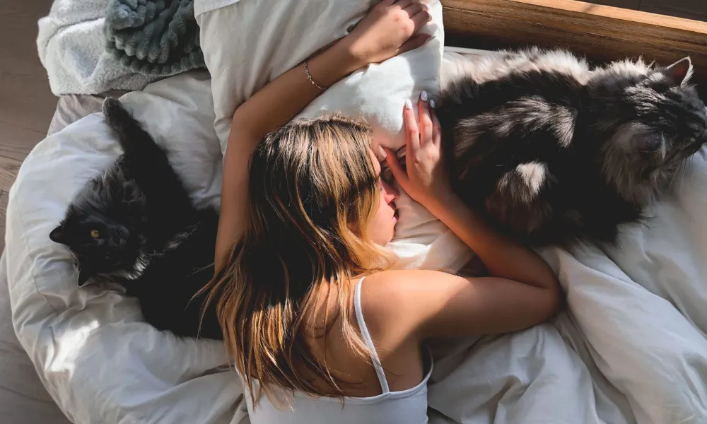 Why Do Cats Sleep on You? Most Common Reasons