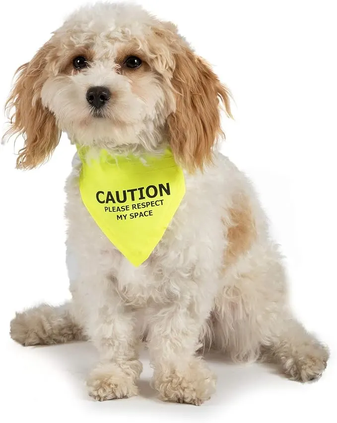 yellow anxious dog bandana