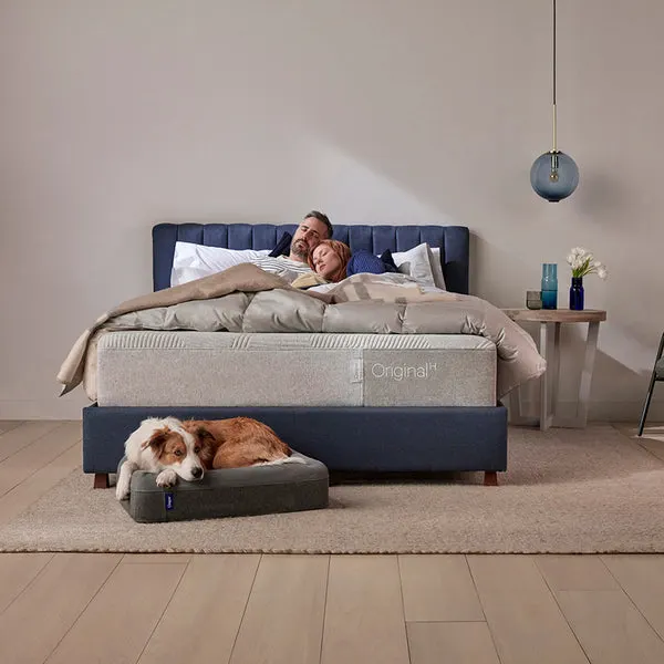 Dog sleeps in pet bed below couple in human bed