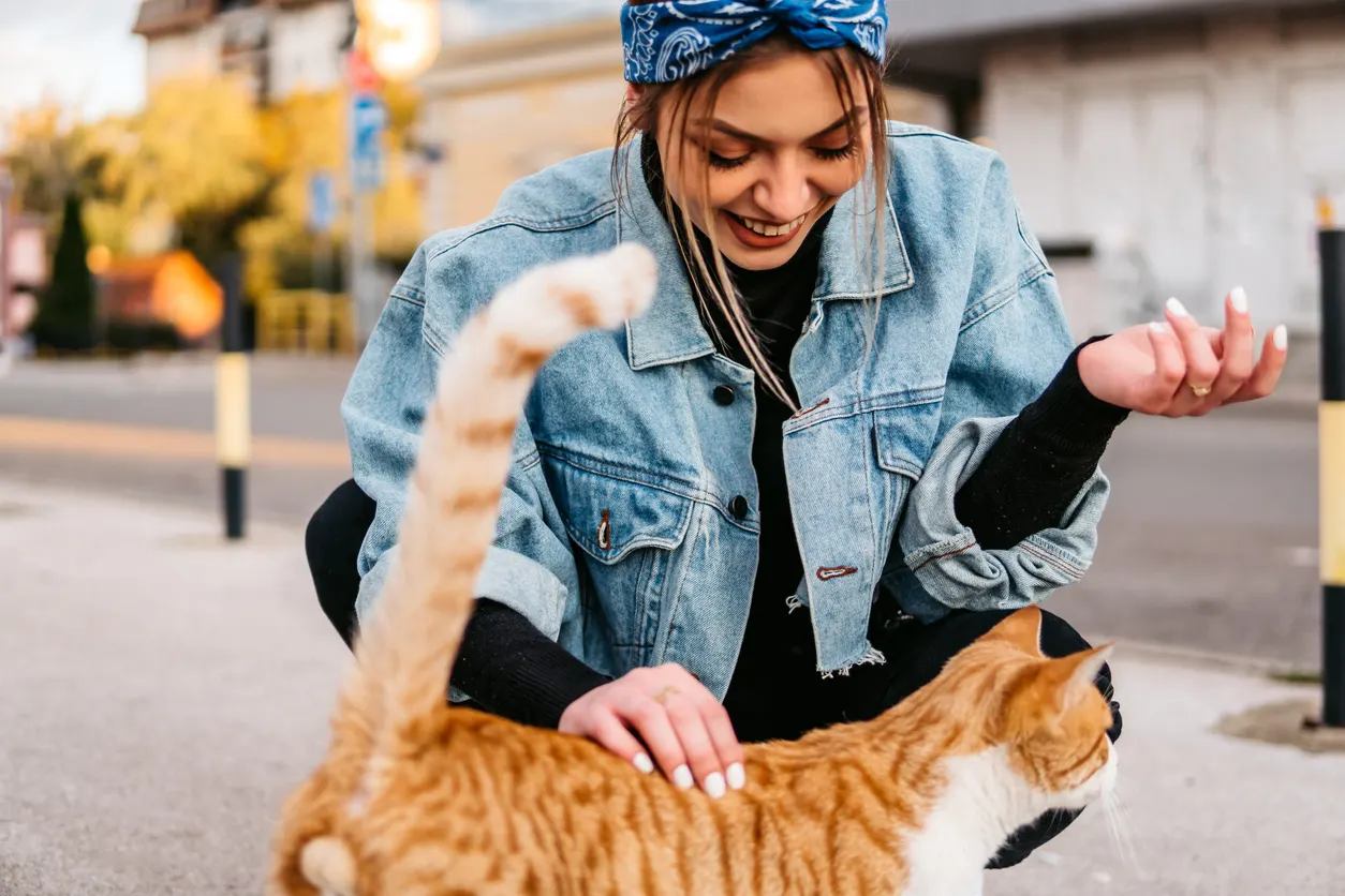 Woman petting stray cat