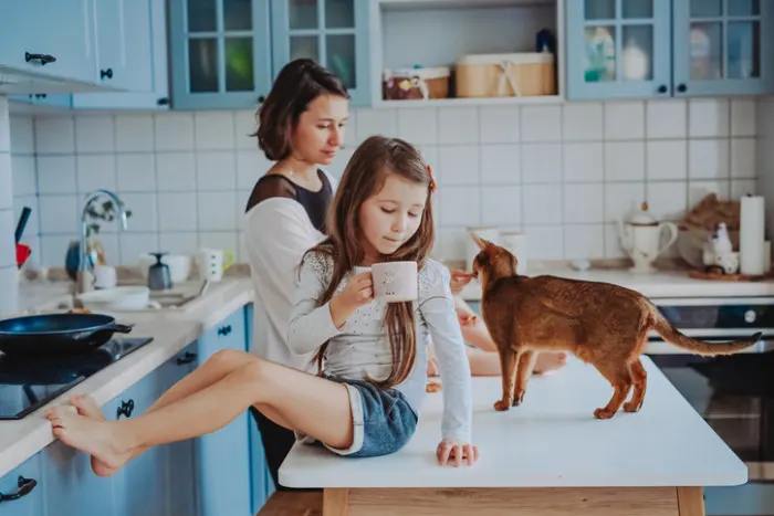 cat on kitchen counter with child