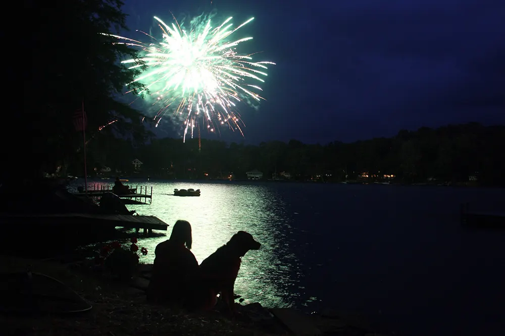 Fireworks and pet anxiety
