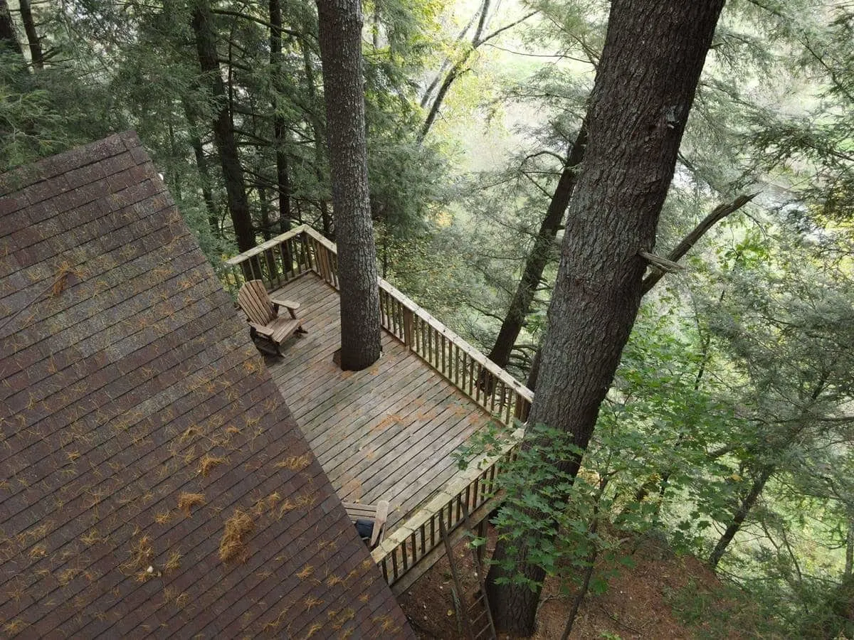 porch in the treetops