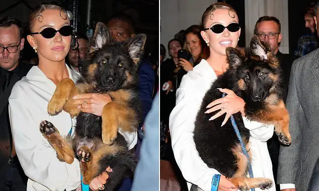 Young woman holds puppy on red carpet