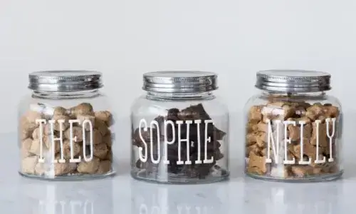 personalized dog treat jars