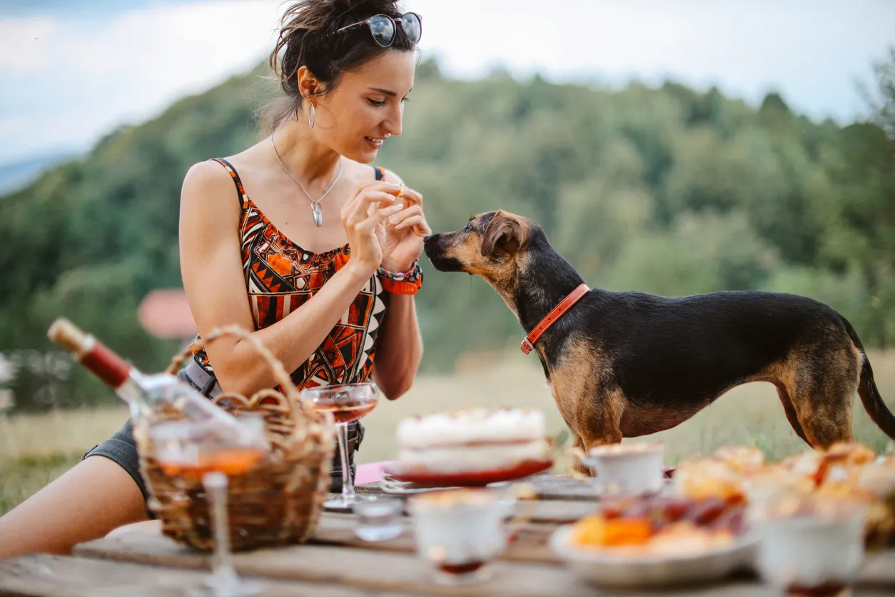 Woman hosting picnic and holding treat that her dog is sniffing