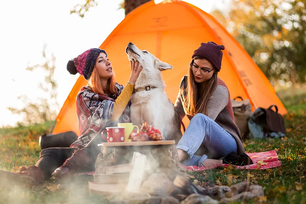 12 dog friendly campgrounds in the US