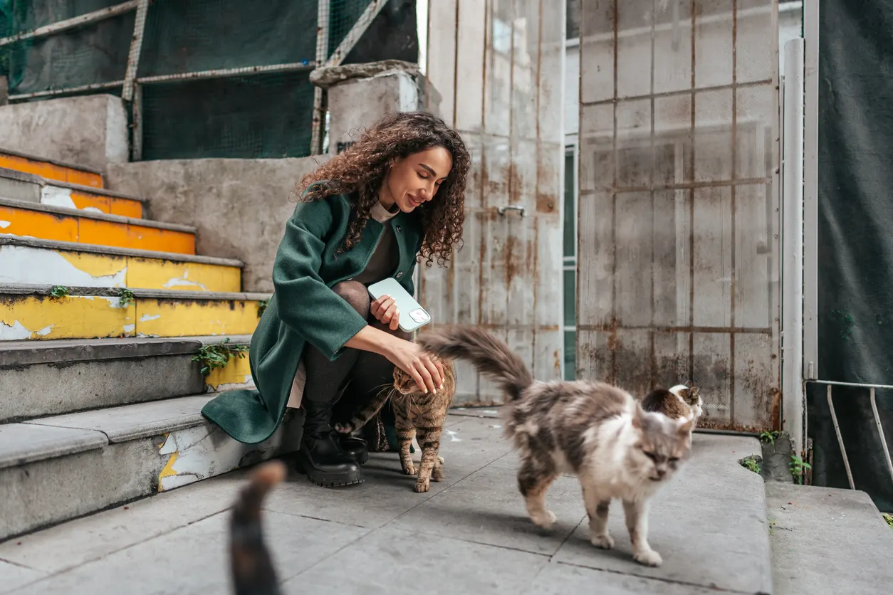 woman petting cats on city street