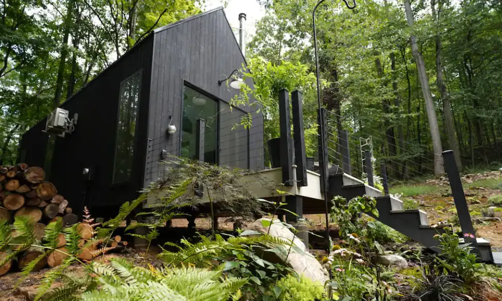 The Coolest PetFriendly Airbnbs in West Virginia