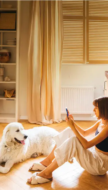 photo-woman-sitting-on-floor-with-dog-375w-xs v2