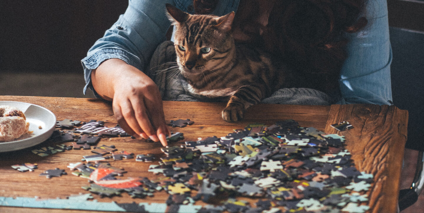 Cat on owners lap as she works on a puzzle