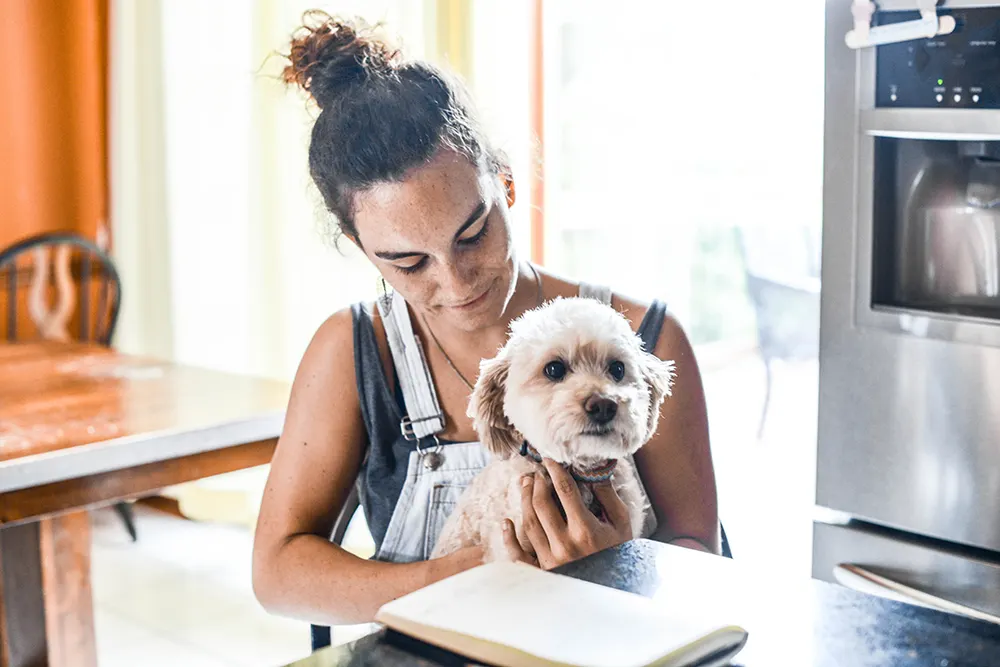 Guide to choosing a pet sitter