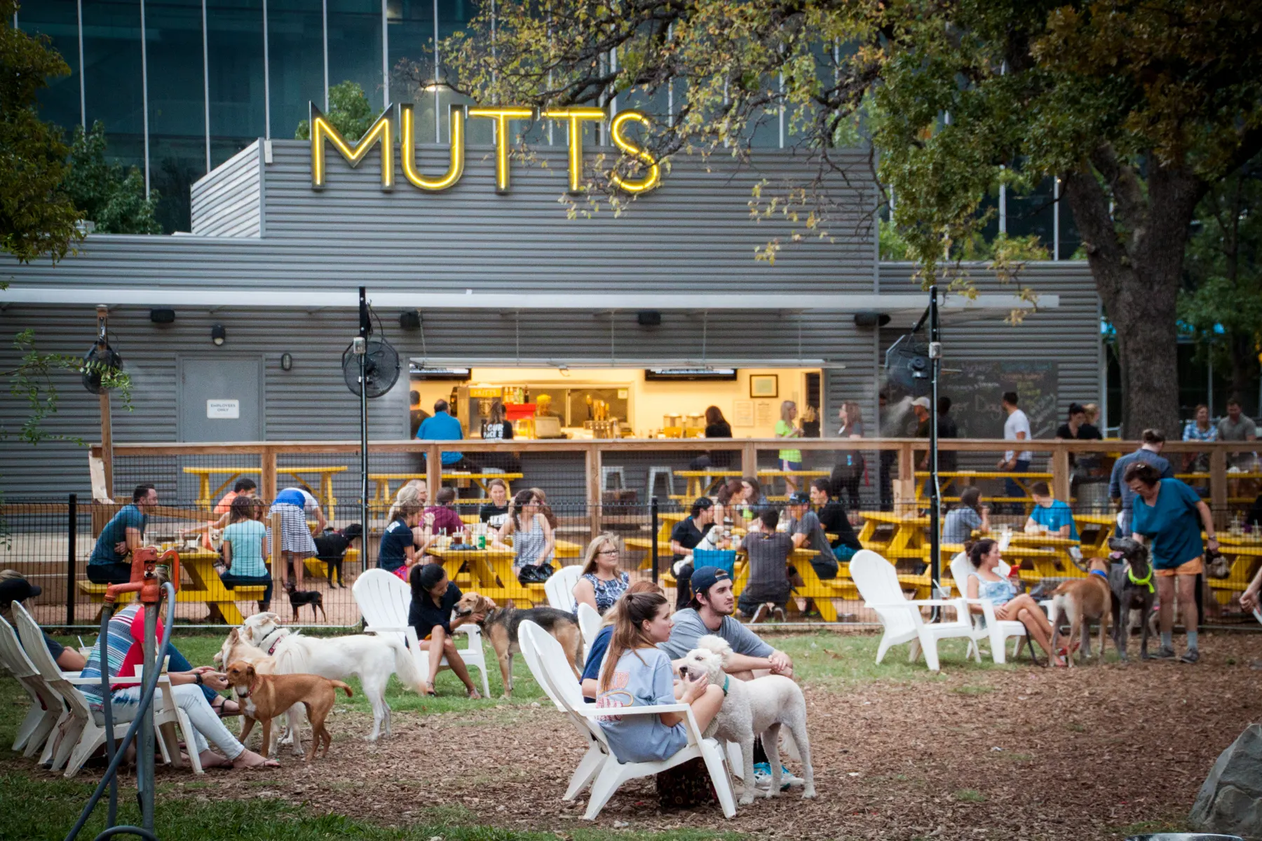 Roam: Mutts Cantina in Dallas, Texas