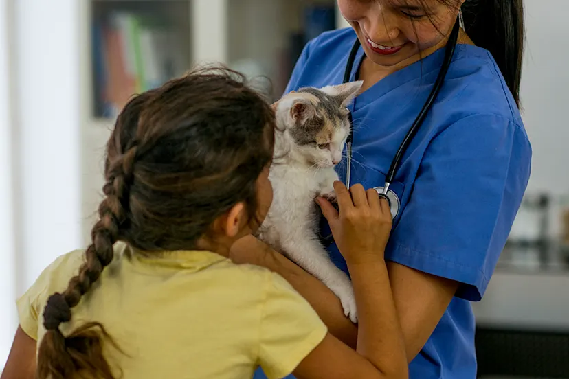 Pets and smoke inhalation