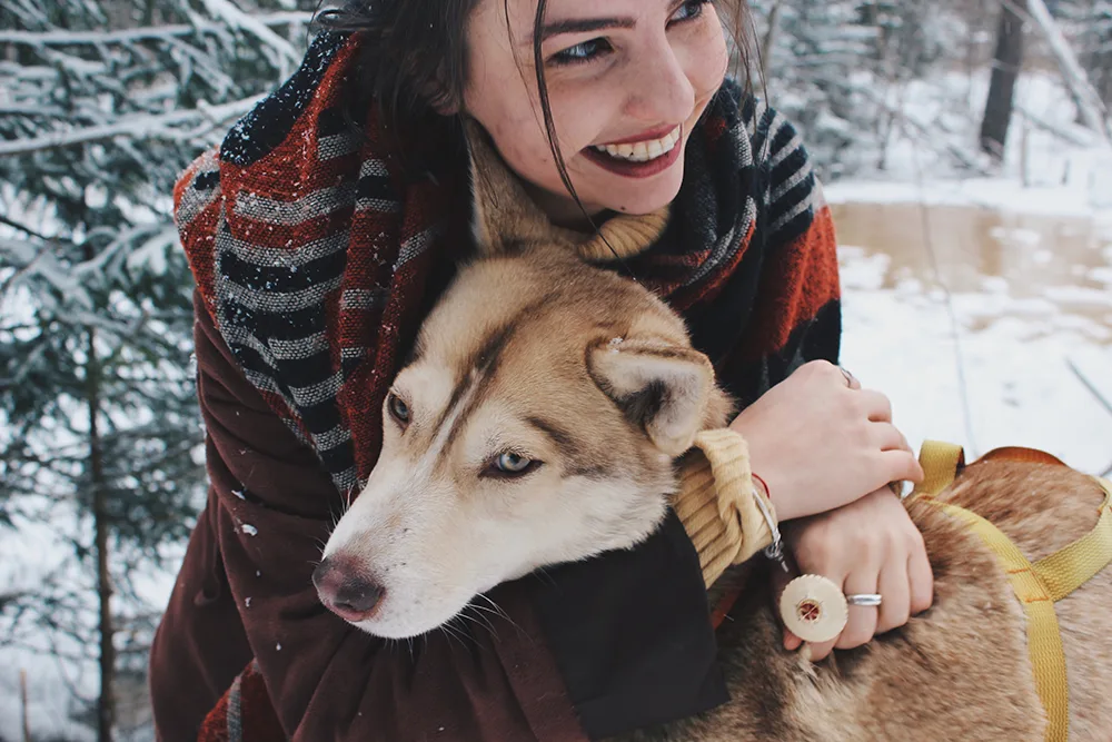 10 winter dog care tips