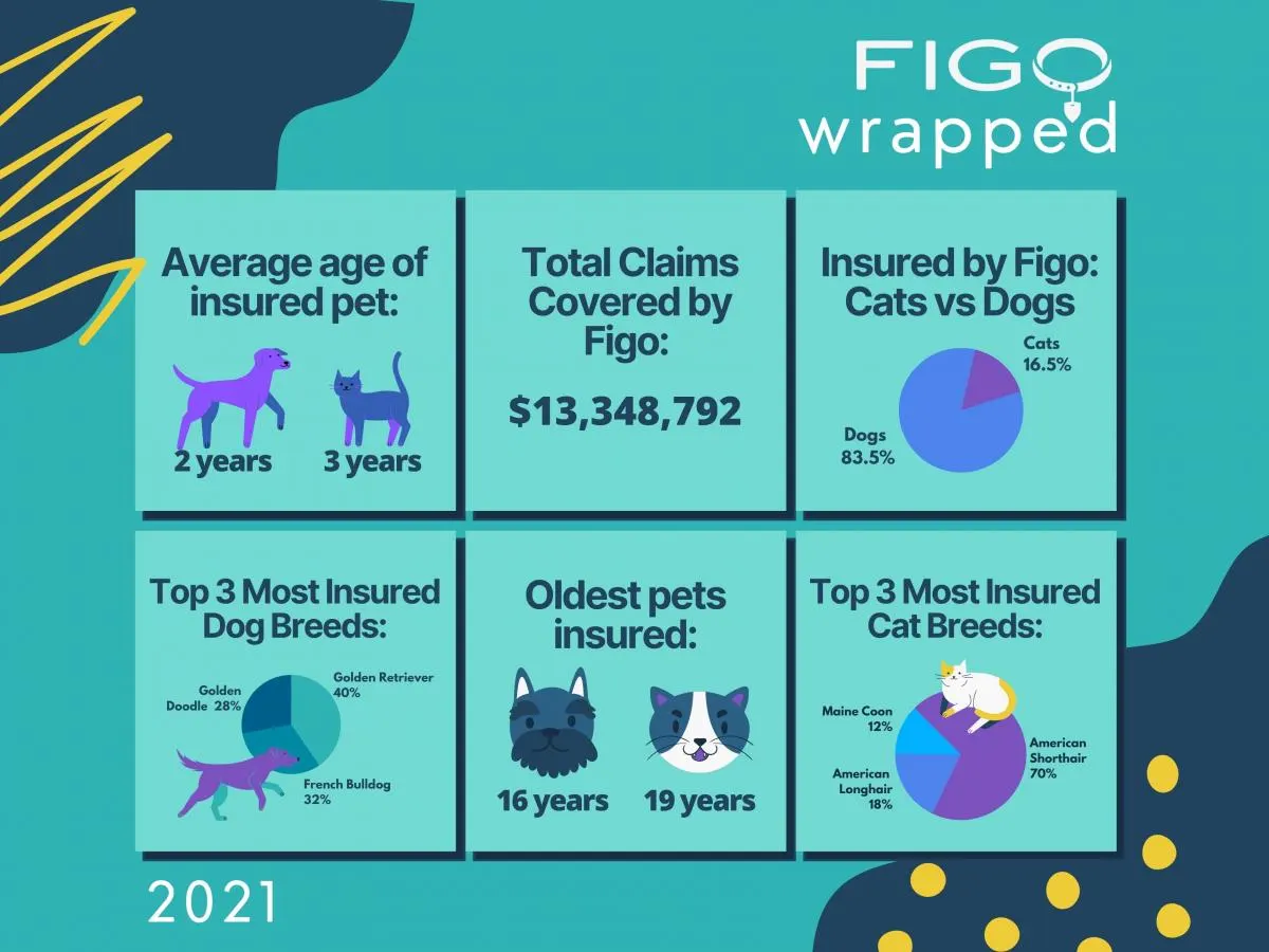 Figo policy and pet summary for 2021