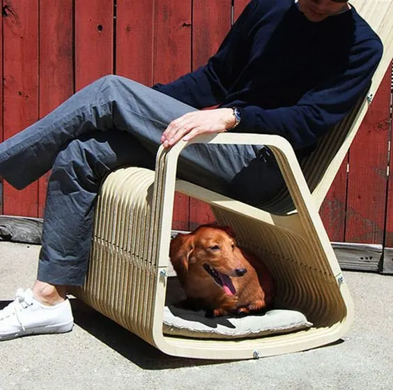 dog-friendly rocking chair