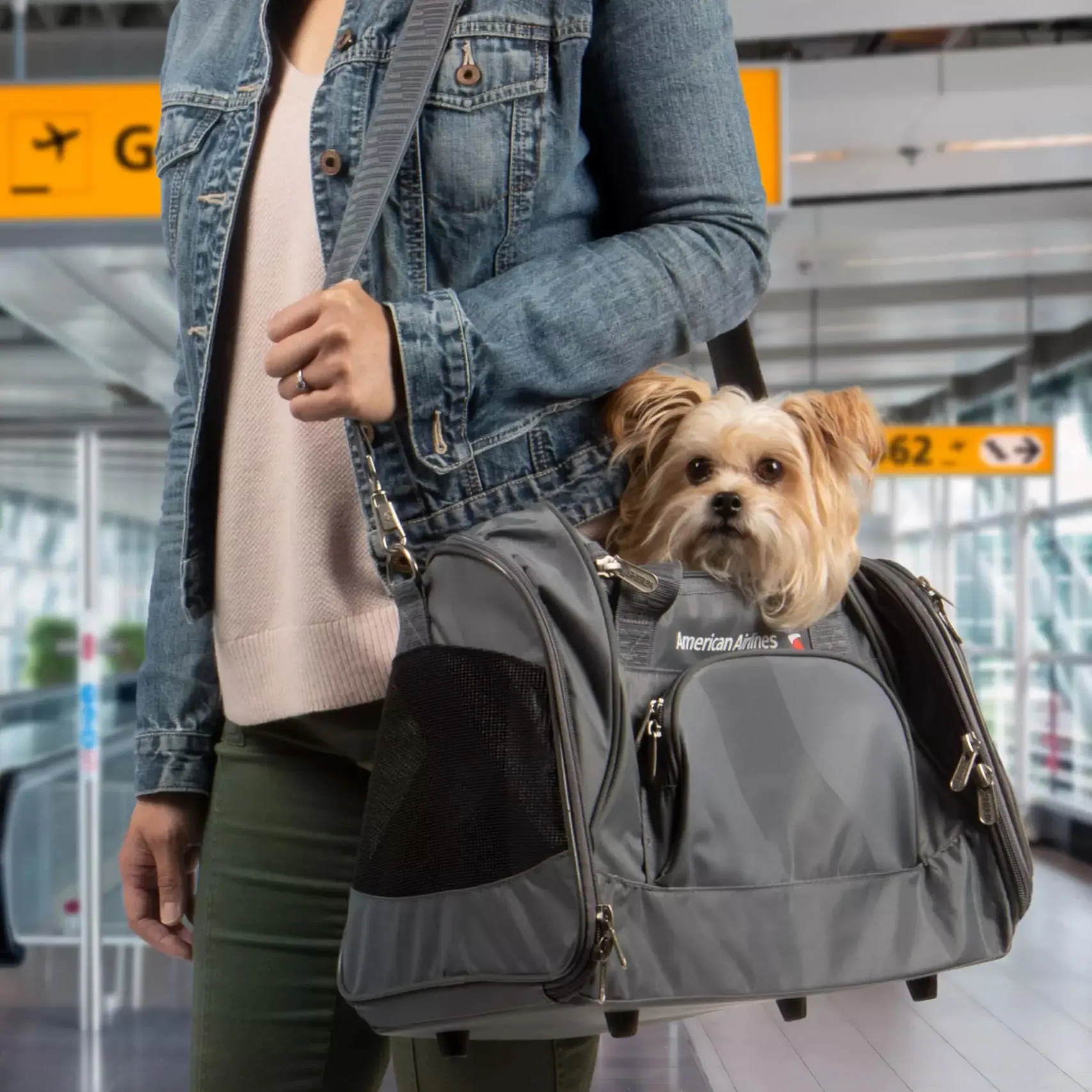 American Airlines Pet Carrier