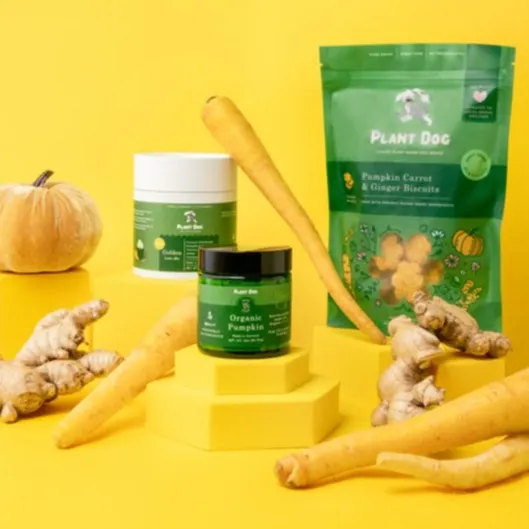 ginger dog treat products