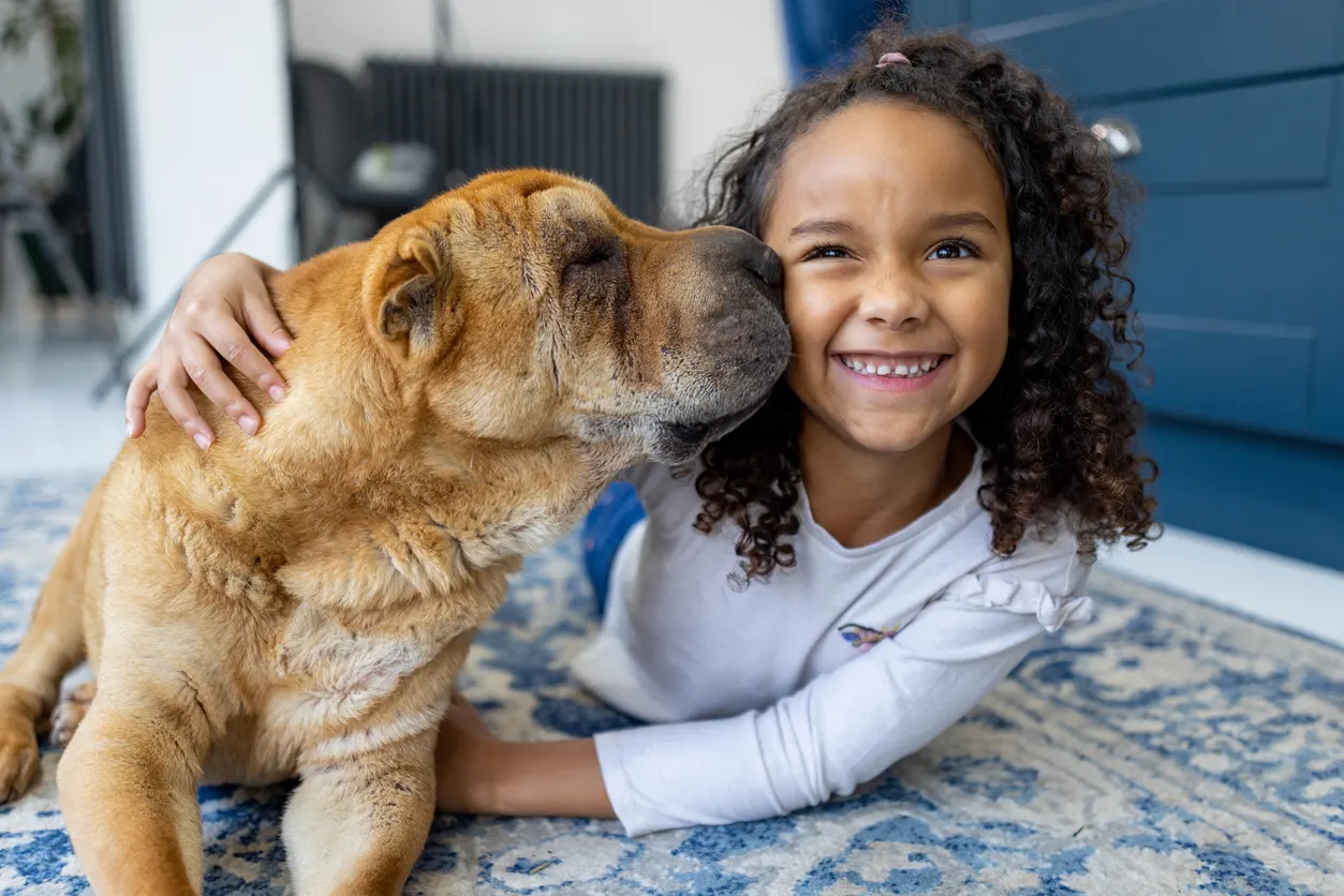 senior dog licks small child