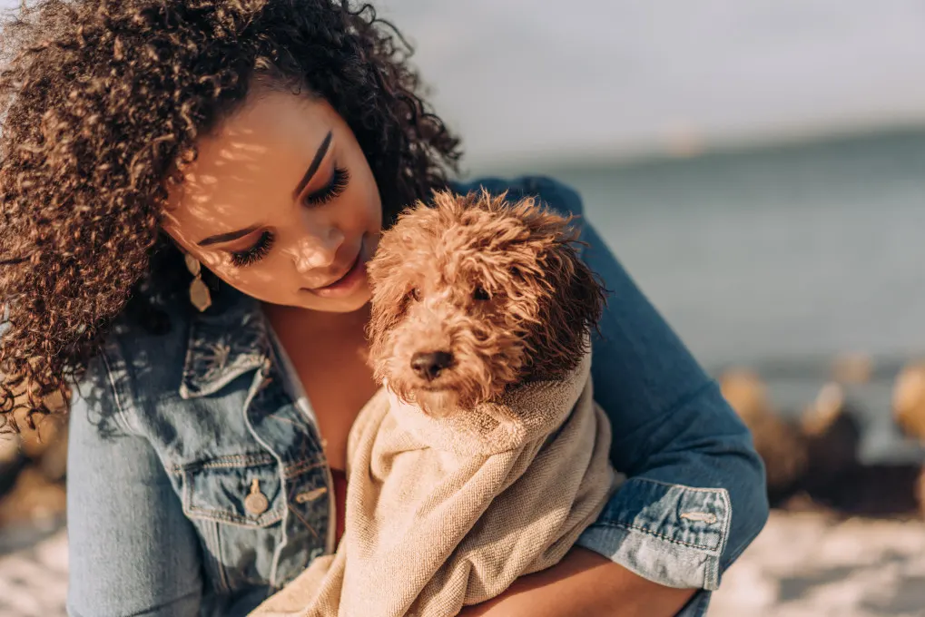 Woman holding a poodle mix puppy on beach