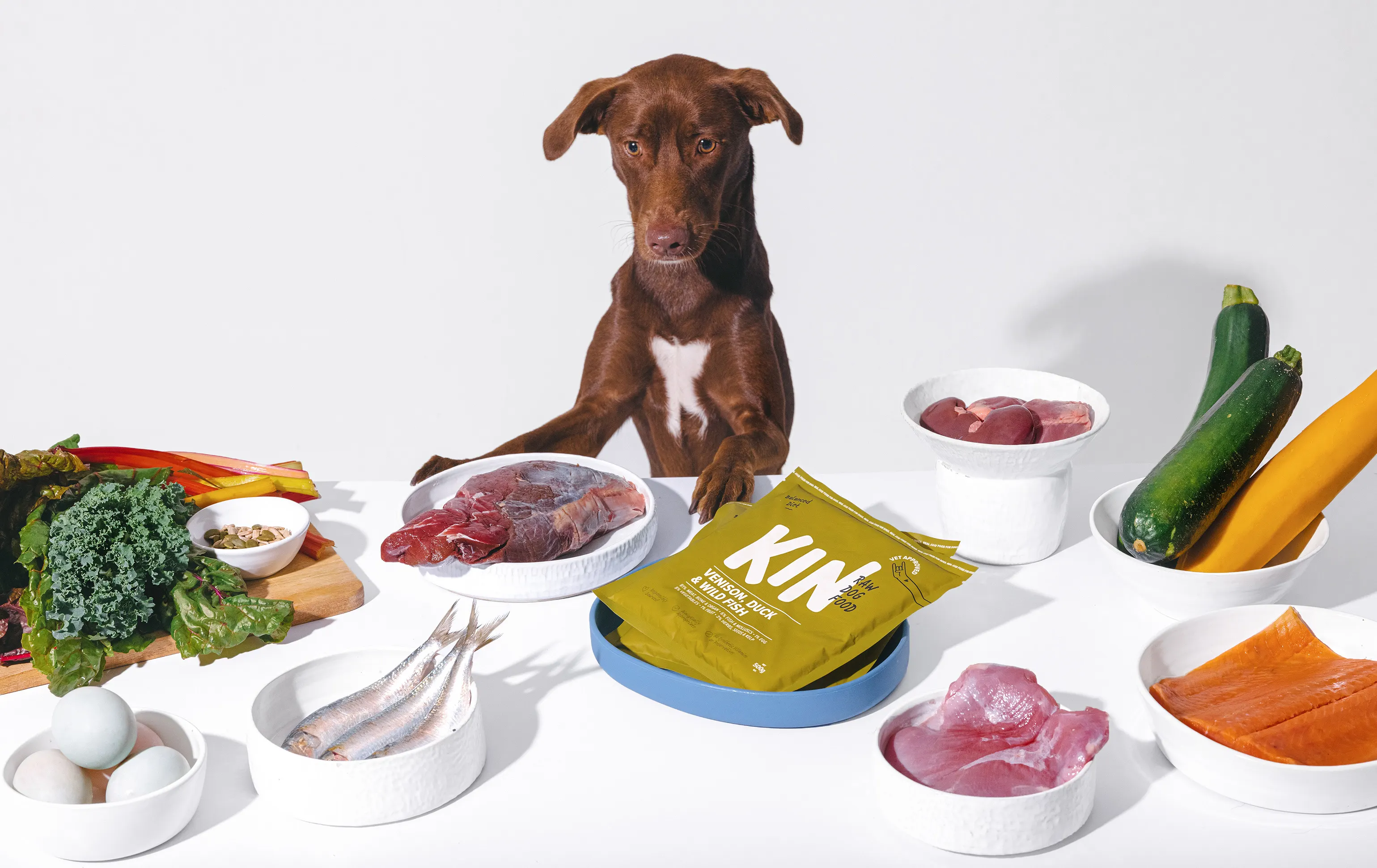 dog surrounded by fresh fruits and veggies