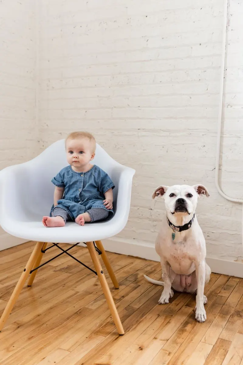 baby and dog in studio together