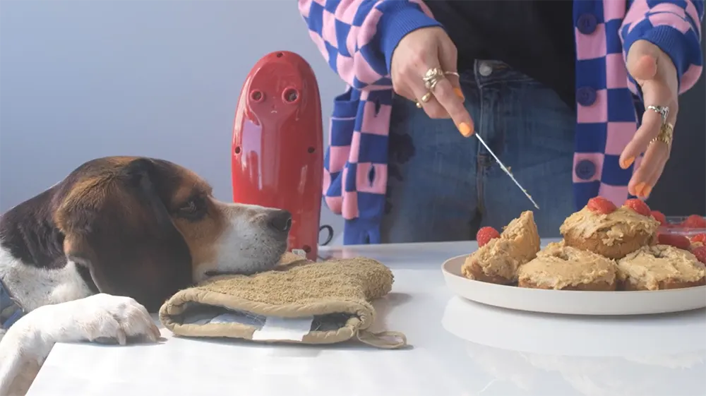 Scarf'd: Quick & Easy Peanut Butter Dog Donuts