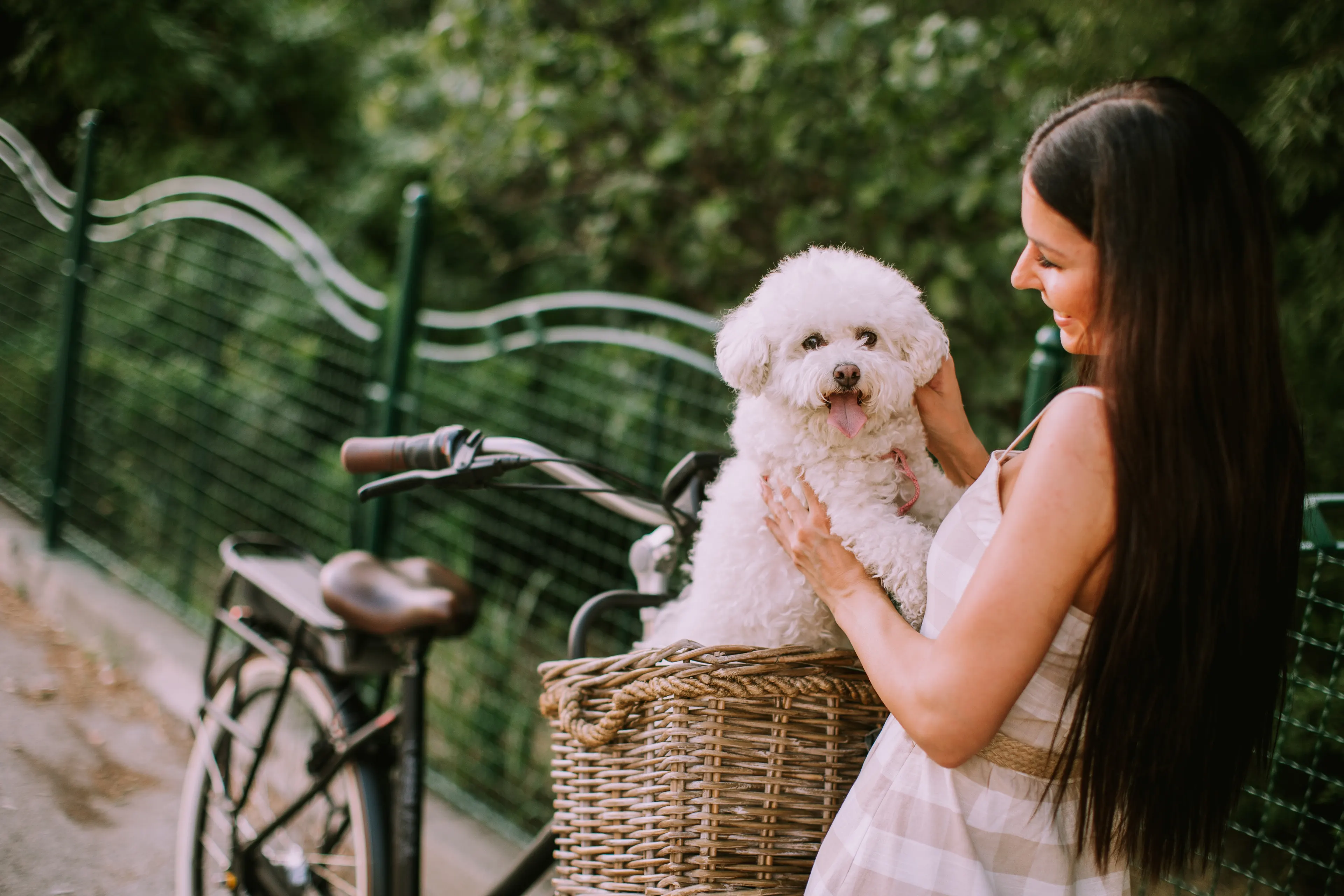 Woman with dog and bike