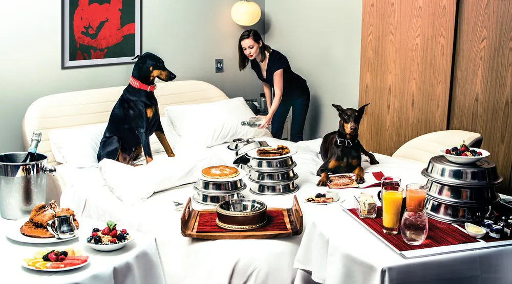 Hotel bed with dogs and room service food on top at Virgin Hotels in Chicago
