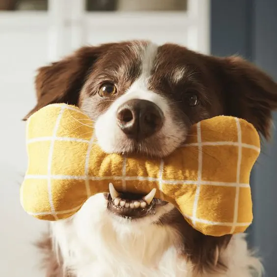 Ikea dog bone toy in a dog's mouth
