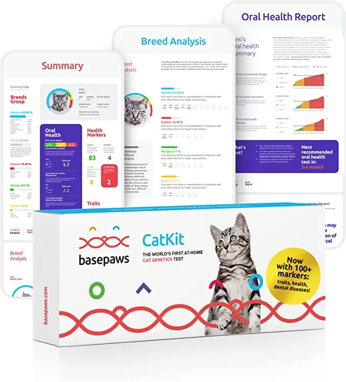 Cat breed DNA test