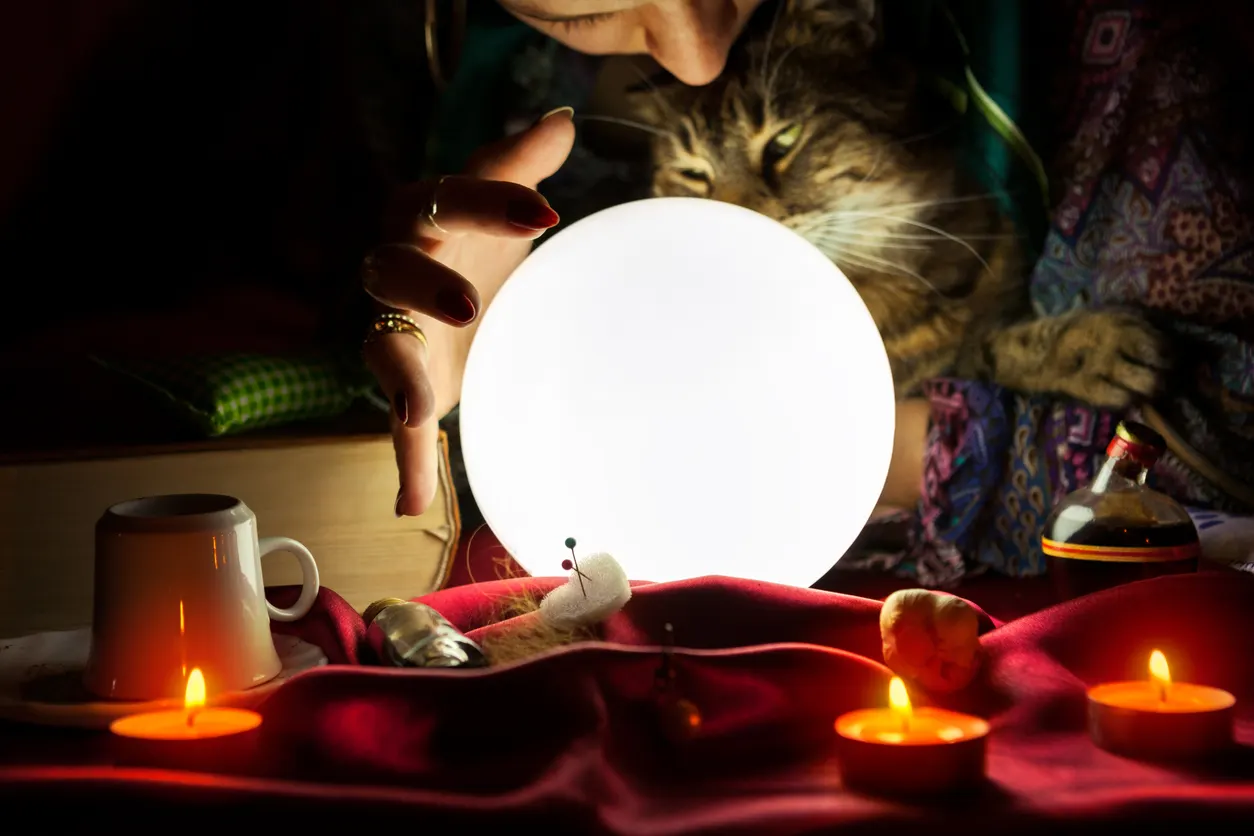 cat looking at crystal ball