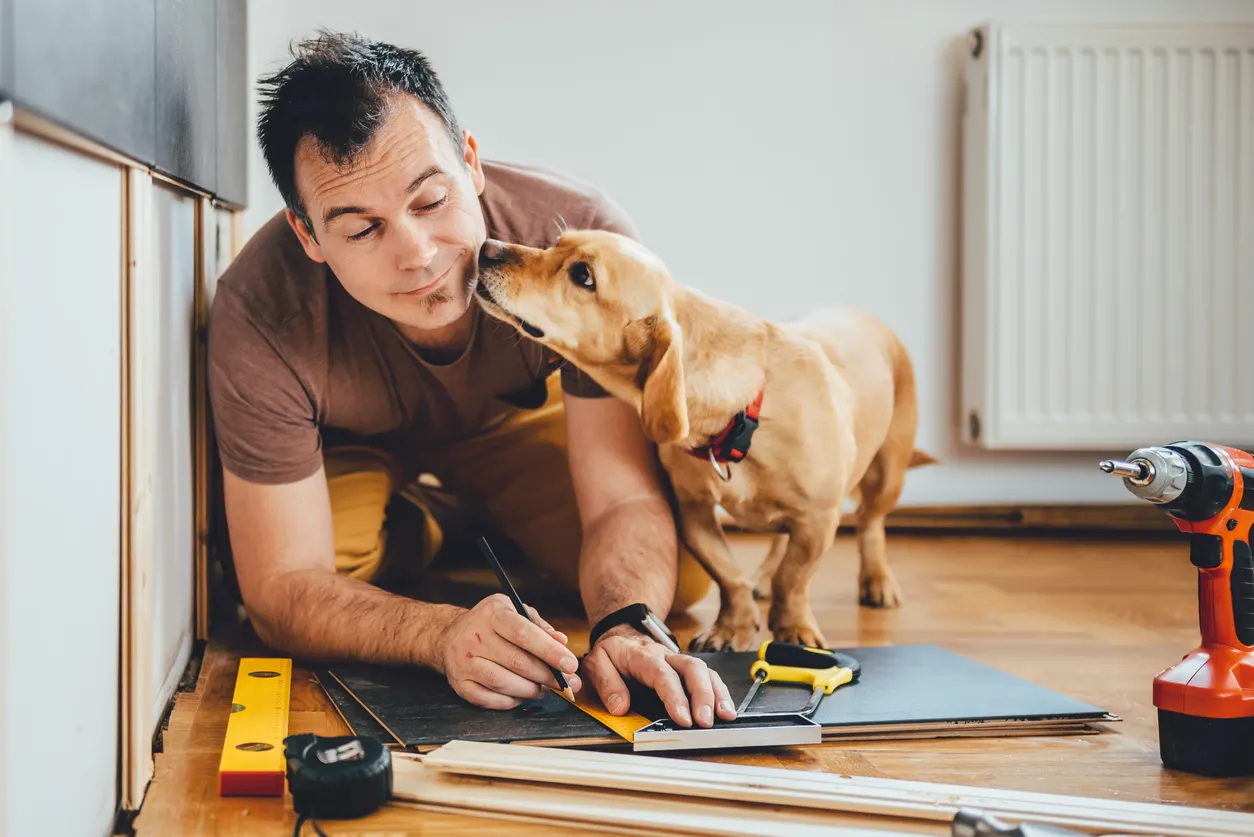 man renovating house with dog beside him
