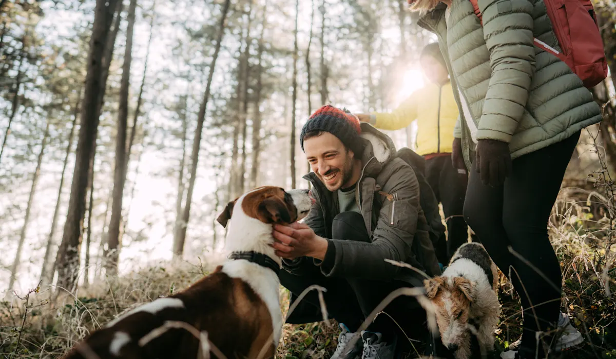 The Best DogFriendly Hikes in Each State