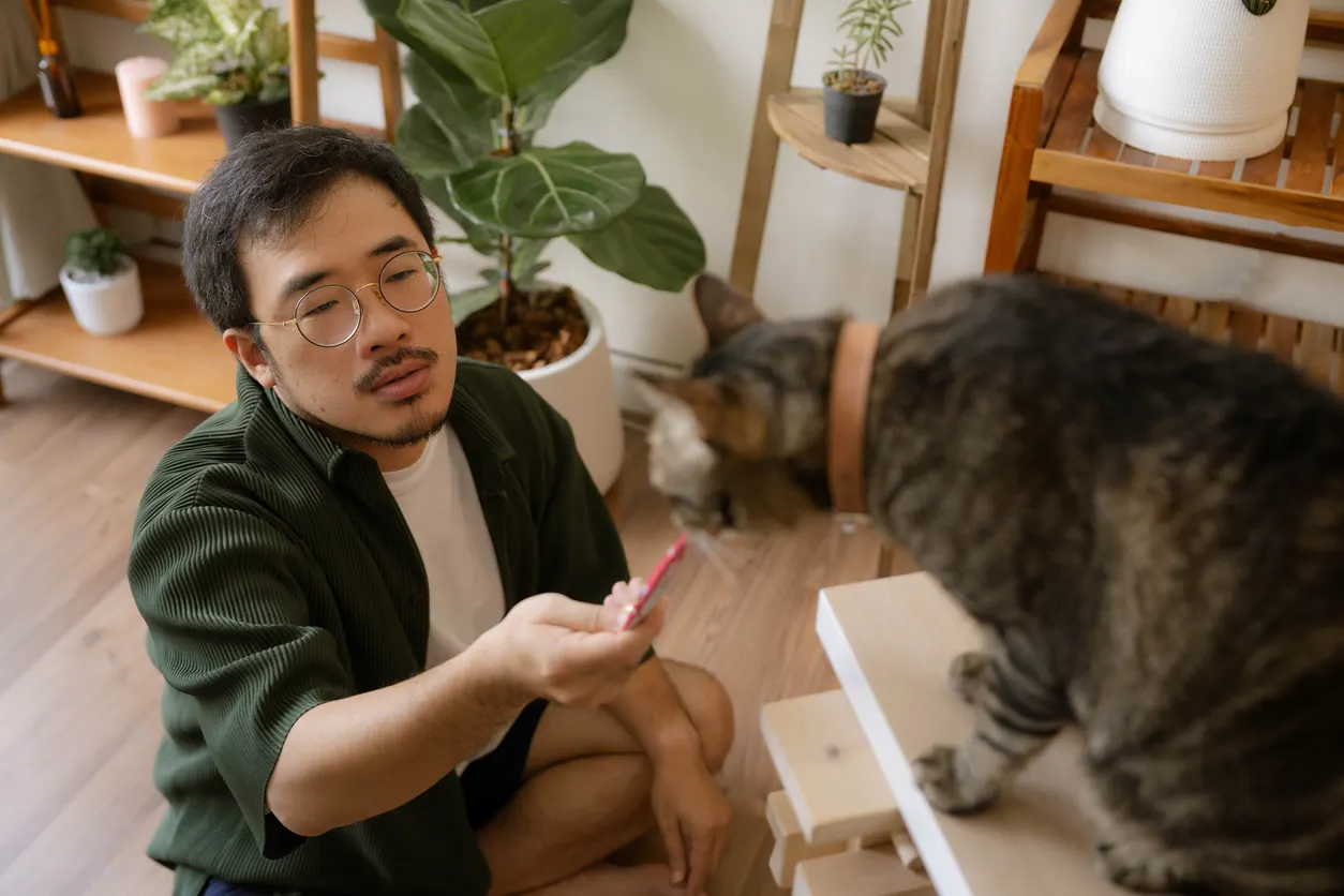 Man feeding cat food