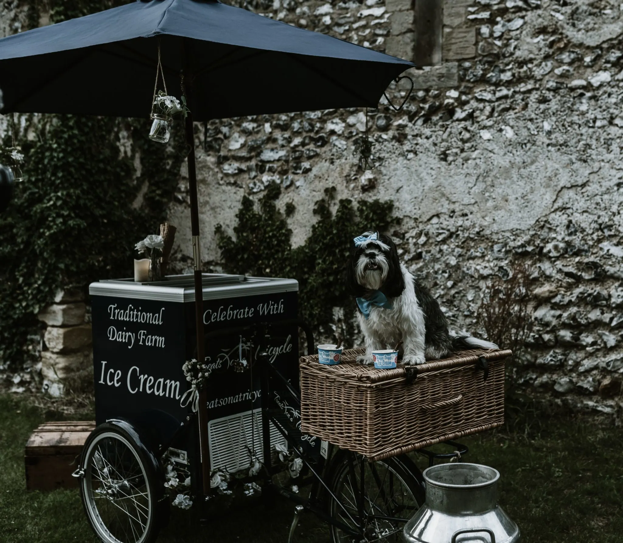 ice cream stand with dog sitting on top