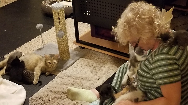 Leah Belanger and her rescue kittens